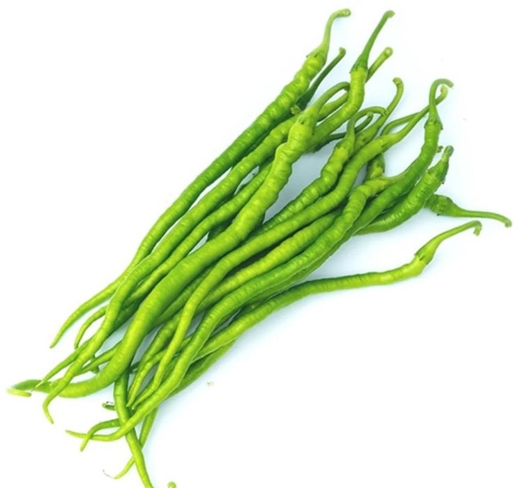 BİBER%20KIL%20TATLI%20(%20ÇOKLU%20TOHUM%20)%20-%205%20Gram