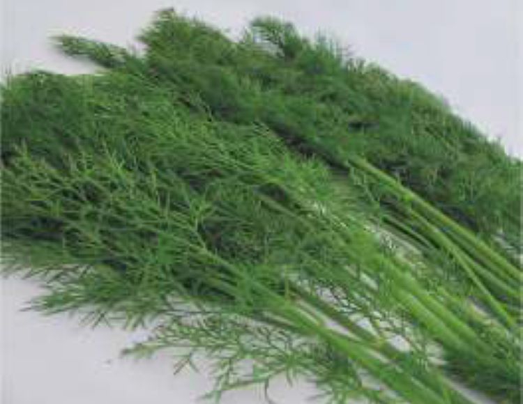 Dere%20Otu%20Tohumu%20-%20Aksel%2010%20gr