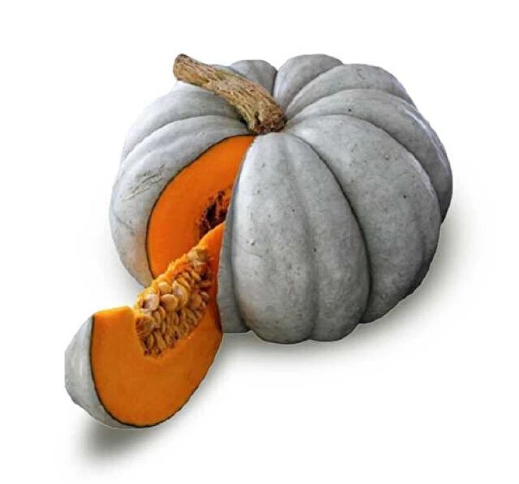 KABAK%20BAL%20(%20ÇOKLU%20TOHUM%20)%20-%2010%20Gram