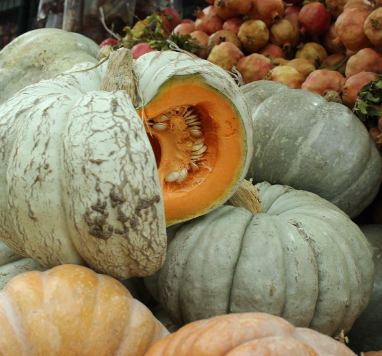 KABAK%20BAL%20(%20ÇOKLU%20TOHUM%20)%20-%2010%20Gram