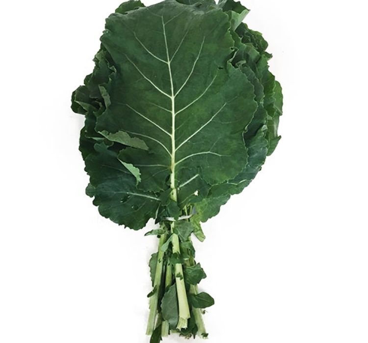 LAHANA%20KARADENİZ%20(%20ÇOKLU%20TOHUM%20)%20-%205%20Gram