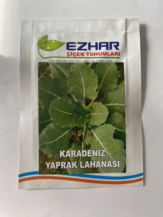 LAHANA%20KARADENİZ%20(%20ÇOKLU%20TOHUM%20)%20-%205%20Gram