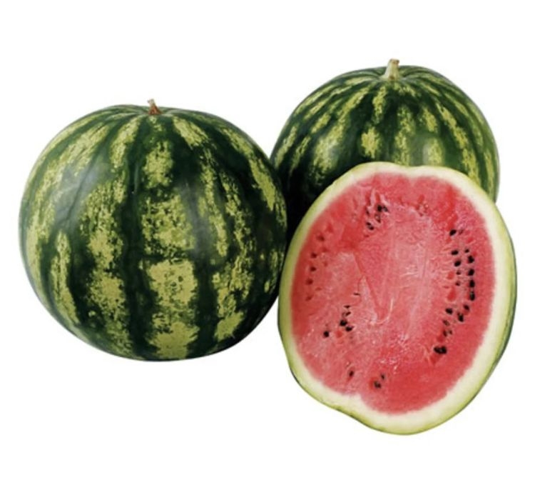 KARPUZ%20C.SWEET%20(%20ÇOKLU%20TOHUM%20)%20-%205%20Gram