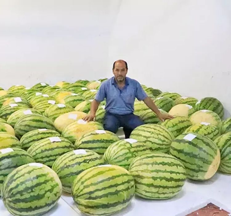 DİYARBAKIR%20KARPUZ%20(%20ÇOKLU%20TOHUM%20)%20-%205%20Gram