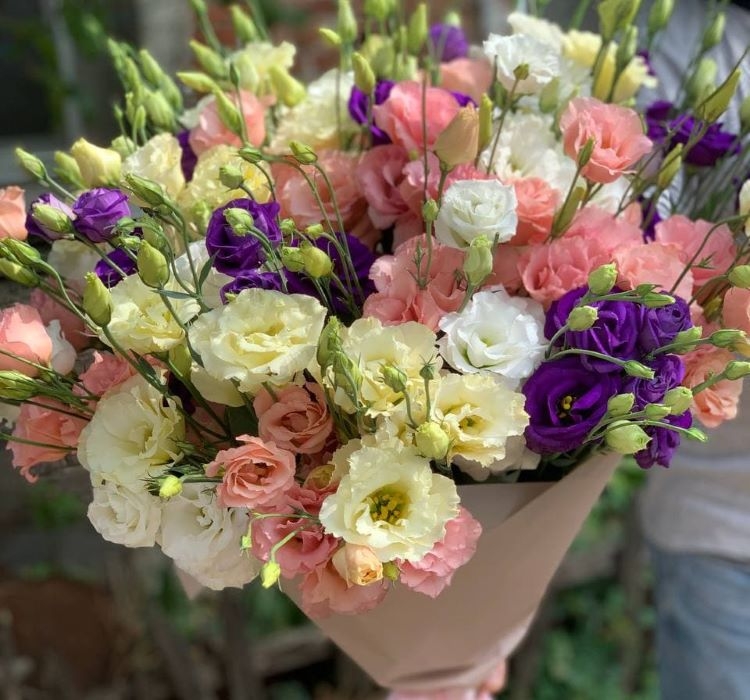 Lisianthus%20(%20Lale%20Gül%20)%20Advantage%20Serisi%20-%20KARIŞIK%20(%205%20Tohum%20)