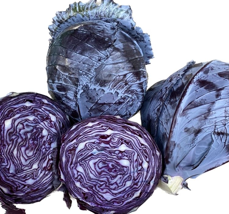 LAHANA%20MOR%20%20(%20ÇOKLU%20TOHUM%20)%20-%205%20Gram