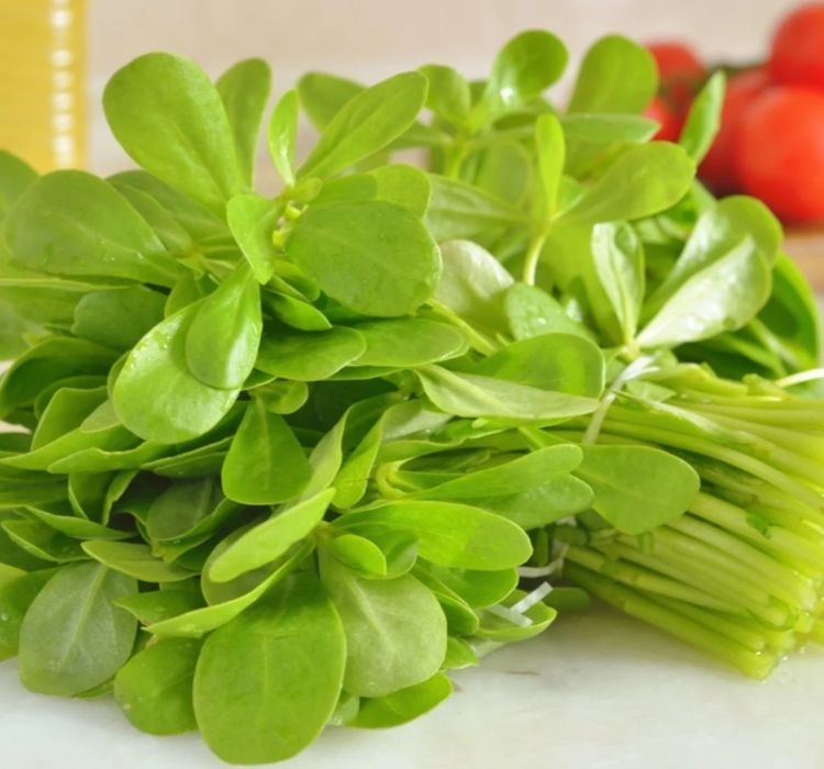 SEMİZOTU%20%20(%20ÇOKLU%20TOHUM%20)%20-%205%20Gram