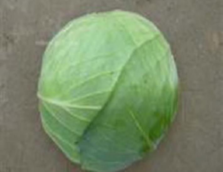 Beyaz Lahana Tohumu - Aksel 10 gr