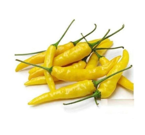 BİBER SÜS SARI ( ÇOKLU TOHUM ) - 3 Gram
