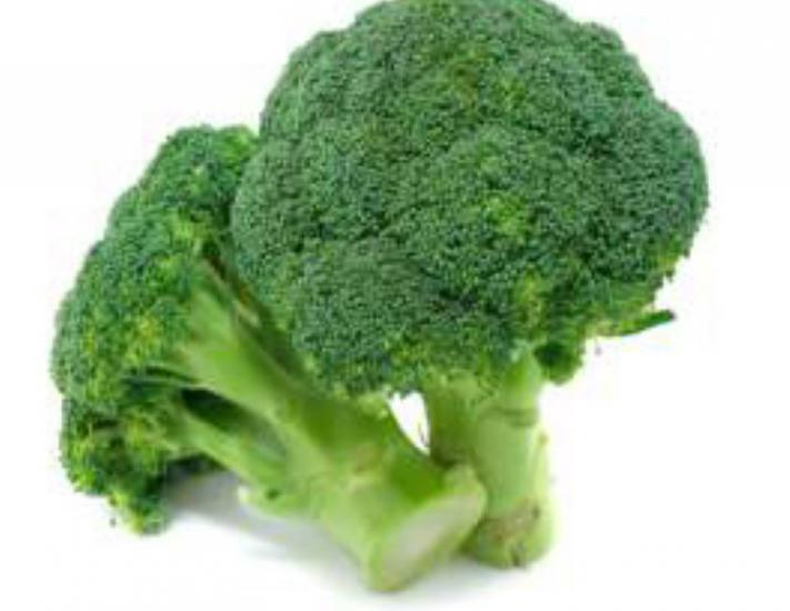 Brokoli Tohumu - Aksel 100 adet
