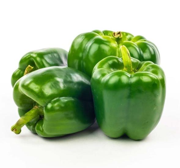 DOLMA BİBER KANDİL ( ÇOKLU TOHUM ) - 5 Gram