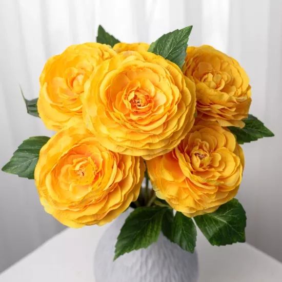 Şakayık Düğün Çiçeği Sarı Renk - Saksılık 10 Tohum