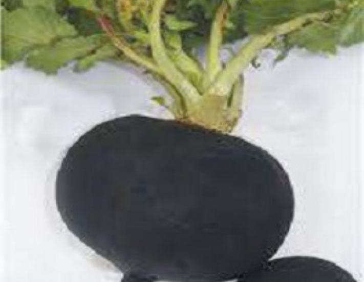 Turp Akın Siyah Tohumu - Aksel 10 gr