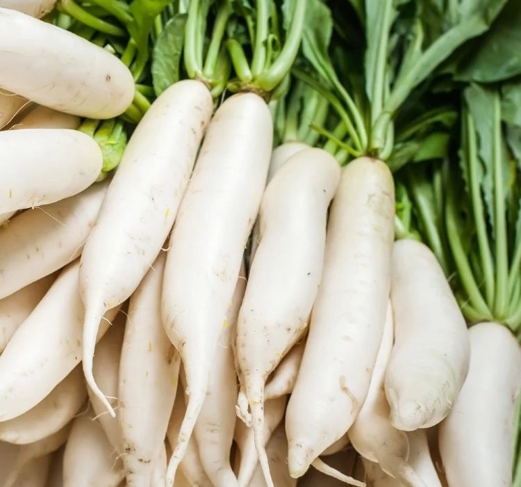 TURP%20ÇİN%20BEYAZ%20(%20ÇOKLU%20TOHUM%20)%20-%205%20Gram