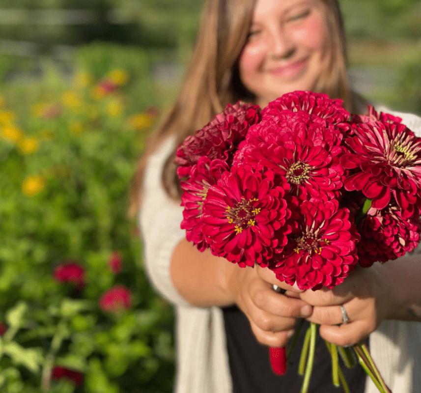 Zinnia%20-%20Kirli%20Hanım%20Tohumu%20(%20Dev%20çiçekli,%20Uzun%20Boylu%20)%20-%20Kırmızı%20Renkli%20-%205%20Tohum