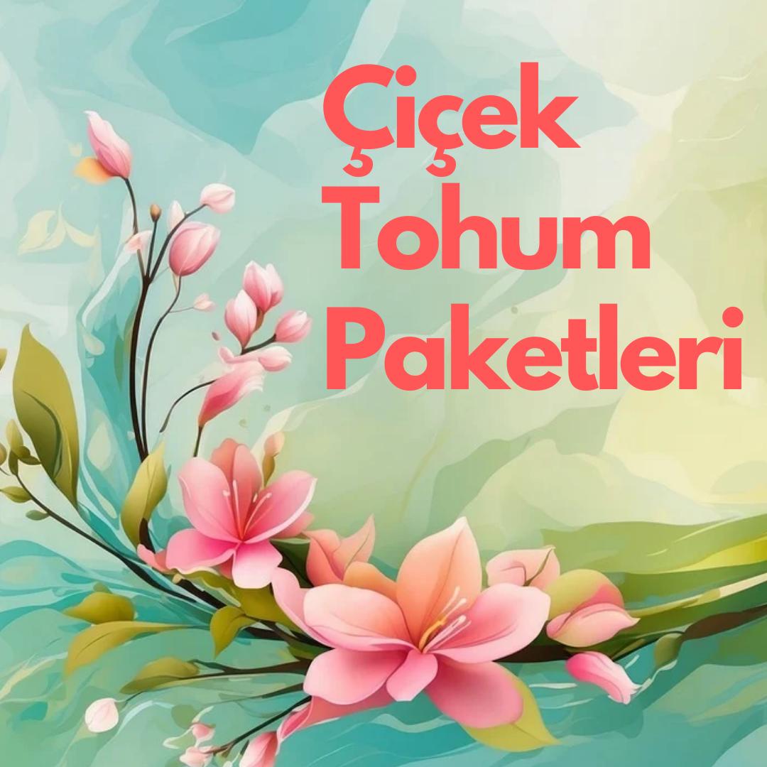 Çiçek Tohumları