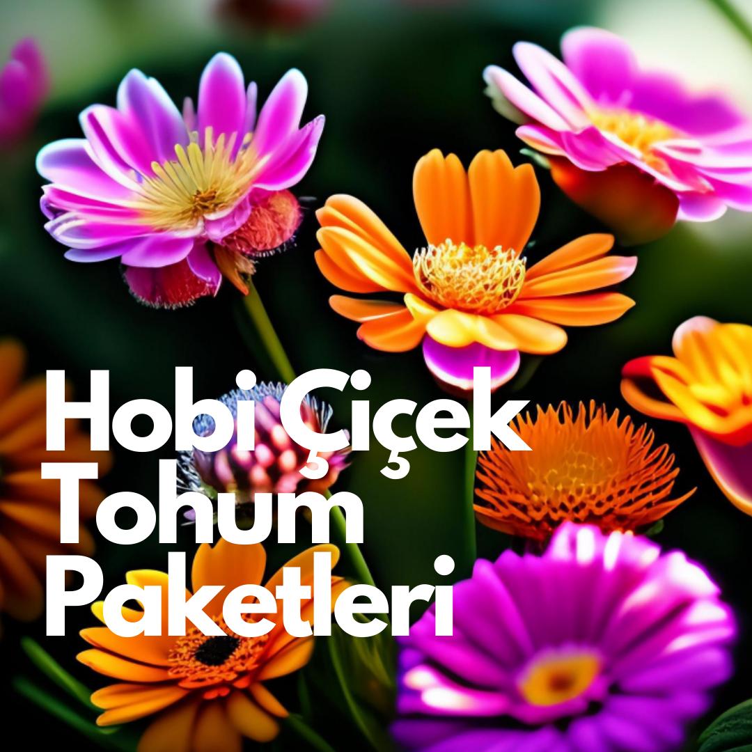 HOBI AMATÖR ÇİÇEK TOHUMLARI