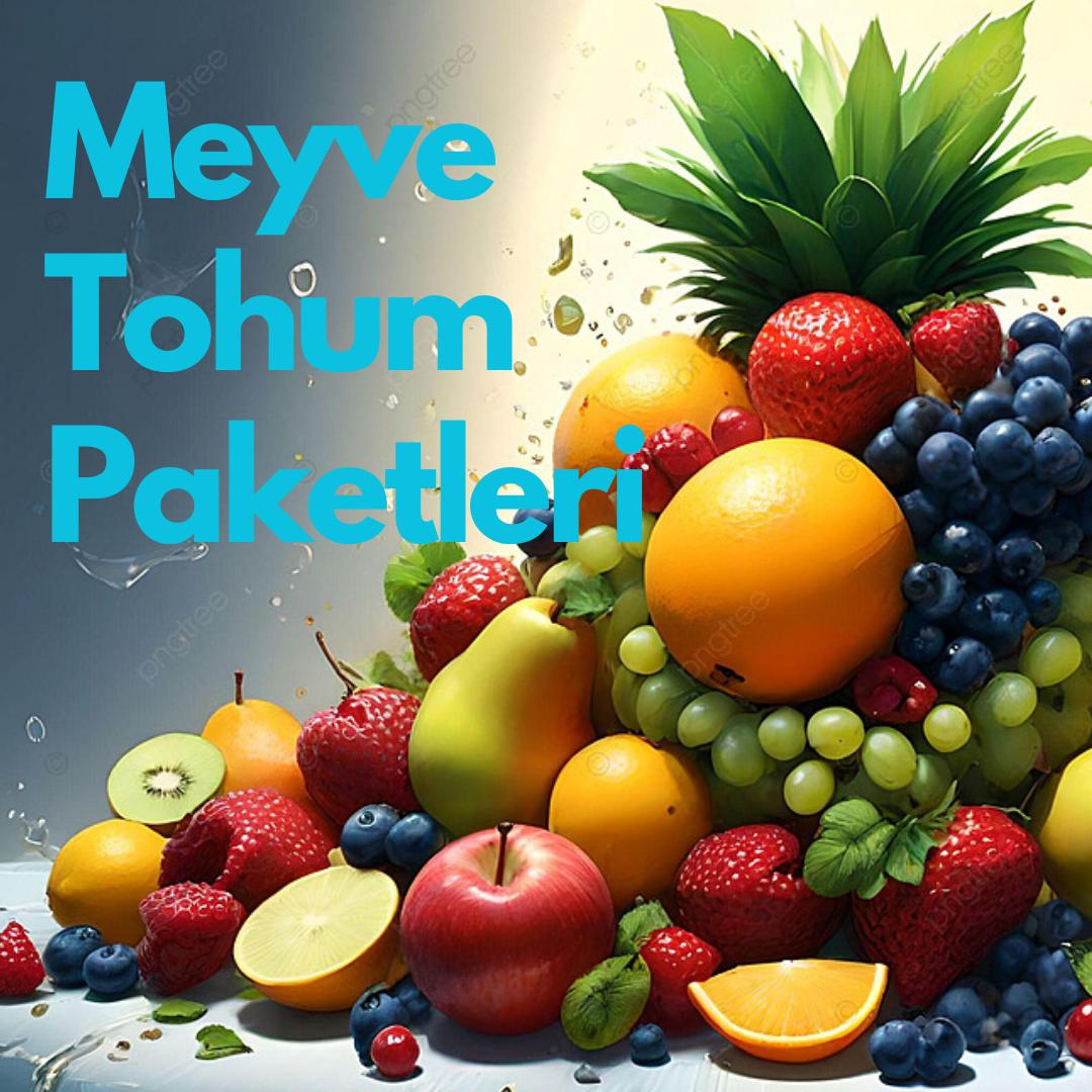 Meyve Tohumları